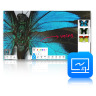 ViiShow